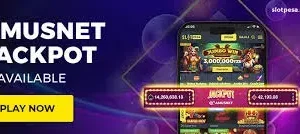 Chỉ số Sân vận động Bóng đá